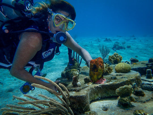Voluntariado en restauración de corales, una experiencia que no te puedes perder